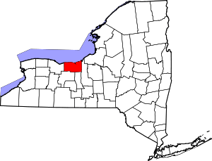 State map highlighting Wayne County