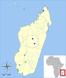 Map of Madagascar, off the southeast coast of Africa, with one red dot in the extreme north of the island, two blue dots near the middle, and seven green dots in the southwest and west parts of the island.