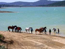 Lac de Montbel