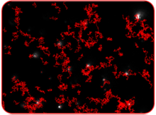 Typical image produced by NTA showing particles being tracked.