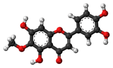 Ball-and-stick model of nepetin