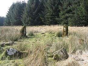 Some stones in a field