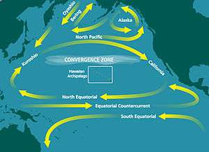 Map showing large-scale looping water movements within the Pacific. One circles west to Australia, then south and back to Latin America. Further north, water moves east to Central America, and then joins a larger movement further north, which loops south, west, north, and east between North America and Japan. Two smaller loops circle in the eastern and central North Pacific.