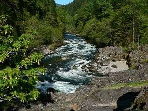 Photo of treelined mountain stream