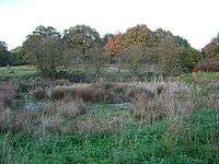 Patmore Heath