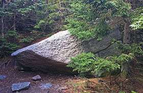 A wedge-shaped boulder peeking out from behind an evergreen tree, with a small area lit by the sun. Behind it are more densely packed evergreens.