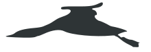 diagram of silhouette of red-throated loon in flight