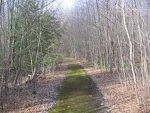 A road covered with green moss surrounded by trees