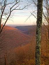 A deep, winding valley stretches to the level horizon under a blue sky. The lands is covered by red-tinged trees, and a few bare trees are in the foreground.