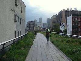 Walking path on a rainy day