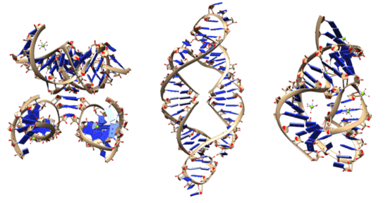 Ribozyme structure picutres