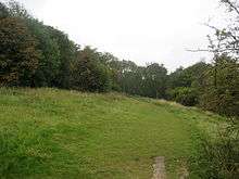 Bacombe Hill