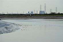 River flowing around a bend with a muddy bank on the left. Beyond the river are white concrete block buildings and multiple electricity pylons.