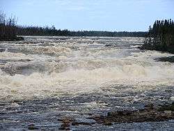 A medium-sized river plunges down rapids surrounded by forests.