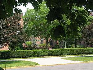 Buildings behind trees.