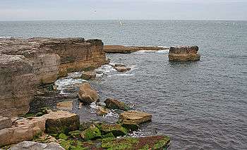 Sea Stacks (geograph 4190468).jpg