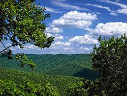 View from a lookout of green tree-covered mountains under a blue sky with white clouds