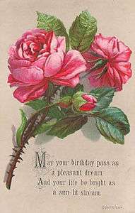 Sockl & Nathan Birthday Card c1895.jpg