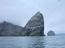 White birds wheel around a tall and precipitous grey sea stack that is partly covered in guano. Cliffs on the left are shrouded in mist and another stack lies further away at right.