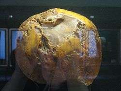 Large rock in an indoor display case with the heads of viewers reflected in the glass.