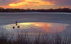 Sunset over the pond at Bedfords Park