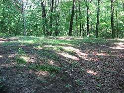 Tarlton Cross Mound