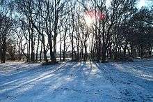 Thundersley Great Common