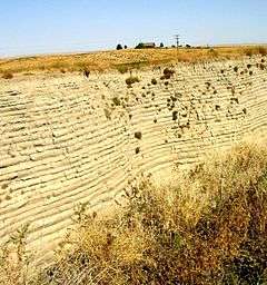  This photo shows a canyon cut into the surrounding flat soil with 32 distinct horizontal layers of soil, each clearly demarked from the layer below. Above the canyon a farm house can be seen in the distance - the farm house provide the perspective that helps the viewer establish that the cut is over 40 deep. The bottom of the cut is filled with tumble weeds.