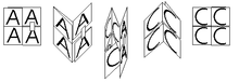 Sides of a tritetraflexagon.