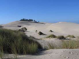 Sand dunes at Oregon Dune National Recreation Area.