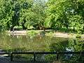 Vernon Park Lake - geograph.org.uk - 16363.jpg