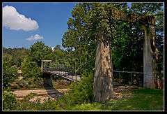 Haggard Ford Swinging Bridge