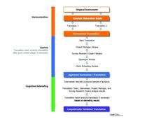 A visual representation of the linguistic validation process.